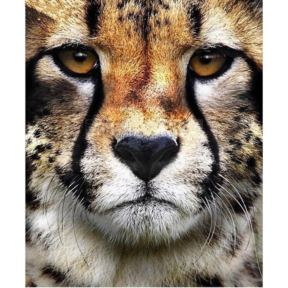DPIDEA Diamond Painting Tiere Diamant Painting Bilder für Erwachsene 5D DPIDEA Diamond Painting Tiere Diamant Painting Bilder für Erwachsene 5D