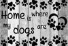 Home is where the dogs are