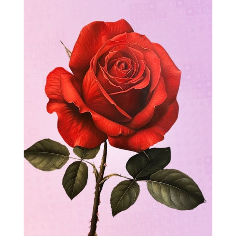 Regenboog roos | Diamond Painting – Myth Of Asia Regenboog roos | Diamond Painting – Myth Of Asia