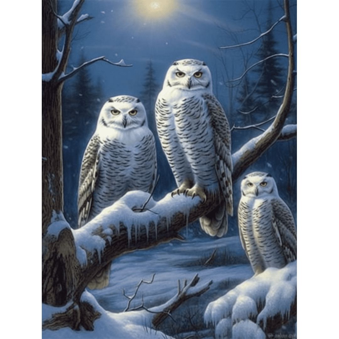AIRDEA Twee uilen Diamond Painting raamafbeeldingen, 5D briljante AIRDEA Twee uilen Diamond Painting raamafbeeldingen, 5D briljante