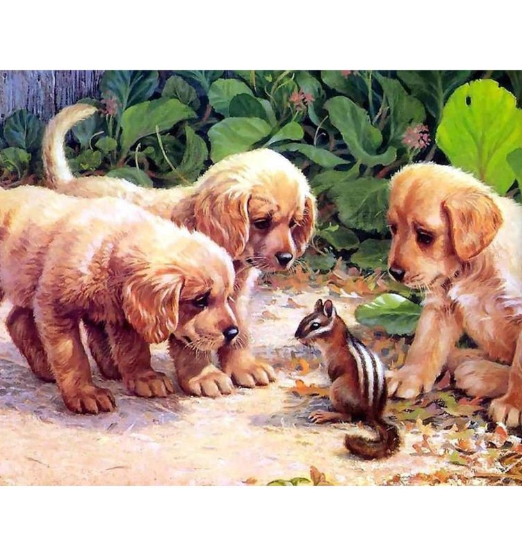 Puppies - Eekhoorn | Diamond Painting