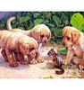 Afbeelding laden in Galerijviewer, Puppies - Eekhoorn | Diamond Painting