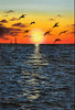 Afbeelding laden in Galerijviewer, Vogels Over Zee Bij Zonsondergang