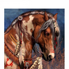 Afbeelding laden in Galerijviewer, Indianen Paard | Diamond Painting