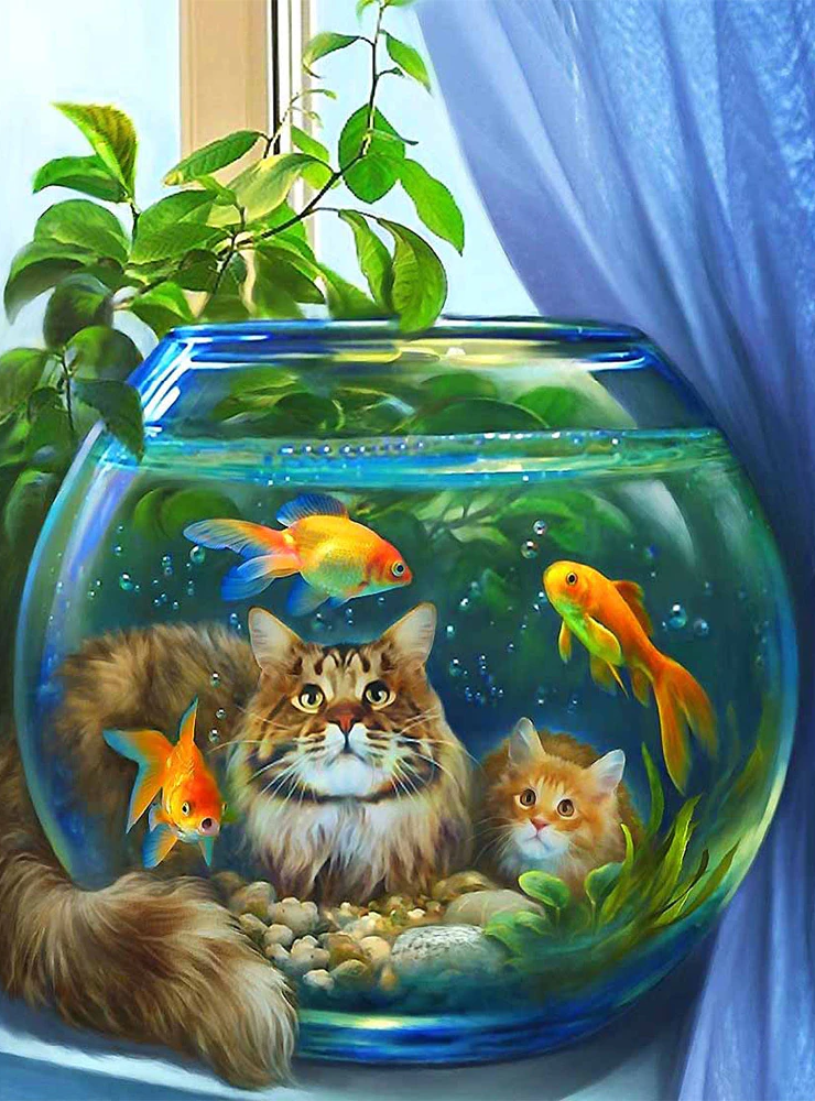 Katten Bij Vissenkom