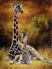 Giraf Moeder en Kind
