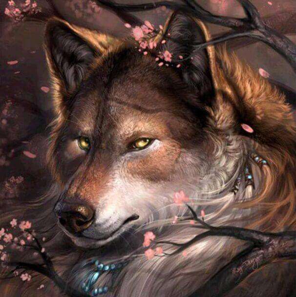 De Mooie Wolf