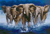 De Olifanten in het Water