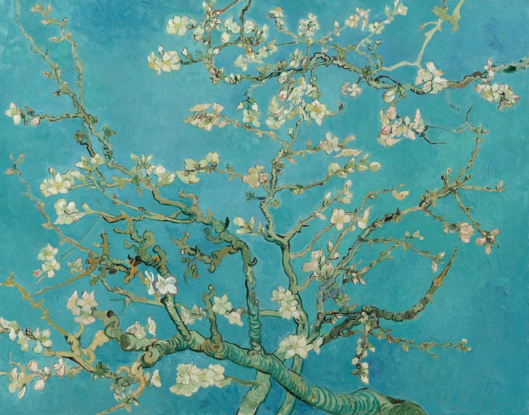 Amandelbloesem van Vincent van Gogh