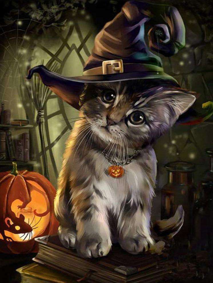 Het Halloween Katje