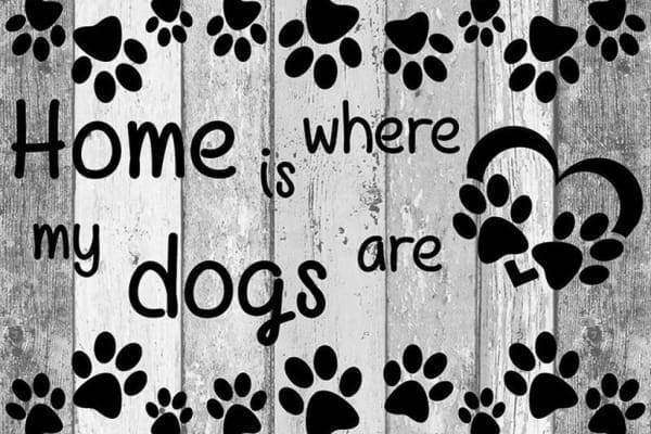 Home is where the dogs are