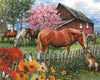 Afbeelding laden in Galerijviewer, Honden en Paarden Boerderij