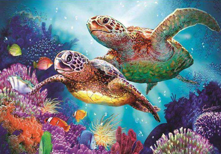 Kleurrijke Schildpadden