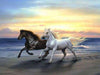 Paarden Rennen op het Strand