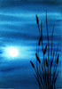 Maanlicht Reflectie Bij Nacht
