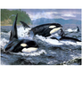 Orka | Diamond Painting