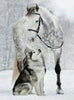 Wolf en Paard in de Sneeuw