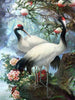 Kraanvogels